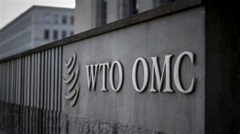 474px x 315px - Big trade deals likely elusive at WTO meet in Abu Dhabi
