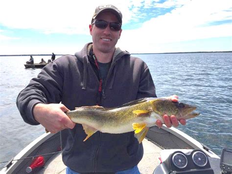 Big winnie fishing report. Lake Winnibigoshish (Big Winnie) is world famous for its outdoor opportunities. Fishing is second to none on this year-round fishery. Walleye, Northern, Perch, and Musky all inhabit these waters. If wilderness in a modern setting is what you are looking for, Winnie delivers. 
