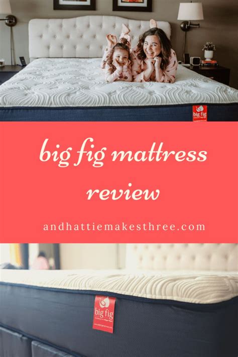 Bigfig mattress. Things To Know About Bigfig mattress. 