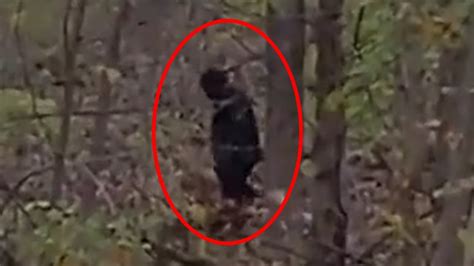 Bigfoot near me. May 13, 2019 · This hairy, ape-like creature is usually associated with the Pacific Northwest. The most famous alleged images of the Sasquatch, the controversial Patterson-Gimlin film, were allegedly captured in Bluff Creek, California, in the 1960s. True believers maintain that the film is the real deal. Skeptics say it’s an obvious hoax. 
