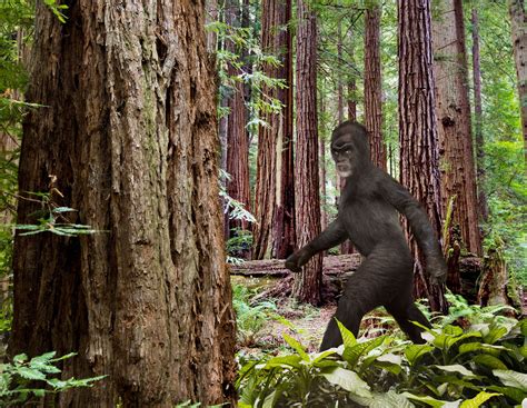 Bigfoot porn. Things To Know About Bigfoot porn. 