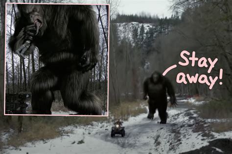 Bigfoot videos. Things To Know About Bigfoot videos. 