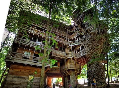 Biggest Tree House