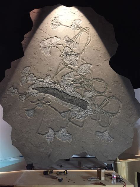 The crinoid is incredibly large, with a stem measuring more than 40 feet in length and a crown that measures more than 10 feet in diameter. The entire specimen is estimated to have weighed more than 10 tons when it was alive. This makes it one of the largest fossil crinoids ever discovered.. 