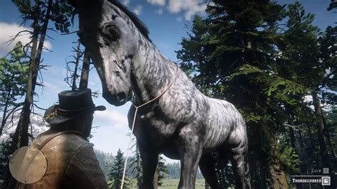 Black American Standardbred, you can find it in big valley area along the treeline, north of the little creek. You'll have to tame it. One of my personal favorite horses in the game! KEEL THE SHIRE HOSEA TELLS YOU TO SELL. The Shire you get in Chapter 2 is an amazing horse and Arthur looks incredibly majestic on it.