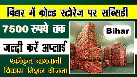 Bihar Shariff Cold Storage Limited - The Company Check