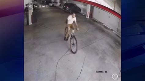 Bike that owner was going to ride at Dolphins Challenge Cancer stolen from Coconut Grove parking garage
