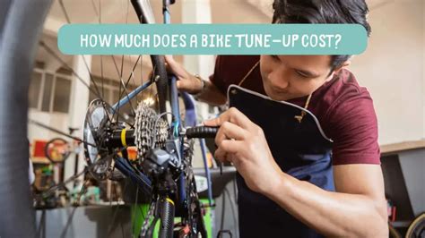 Bike tune up cost. Dec 10, 2023 · Average Cost of a Bike Tune-Up. Maintaining your bike is a crucial part of ensuring it lasts for years to come. One of the most important maintenance tasks is getting a bike tune-up. But how much does a bike tune-up cost? The answer is not straightforward and varies depending on the services included in the tune-up. According to Hobbybiker, the ... 