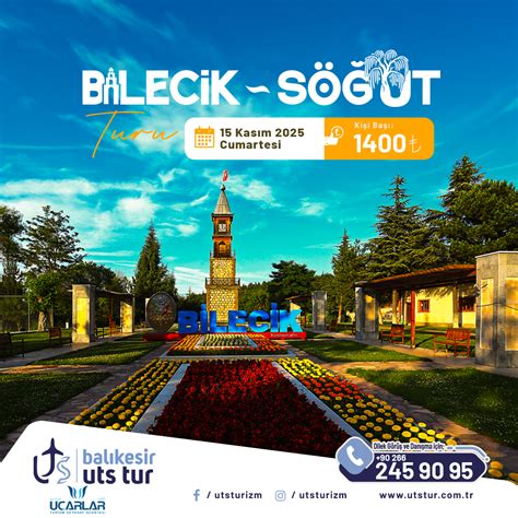 Bilecik Sogut terapi halı yıkama