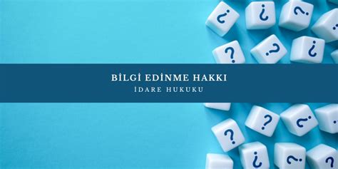Bilgi Edinme TDUB.