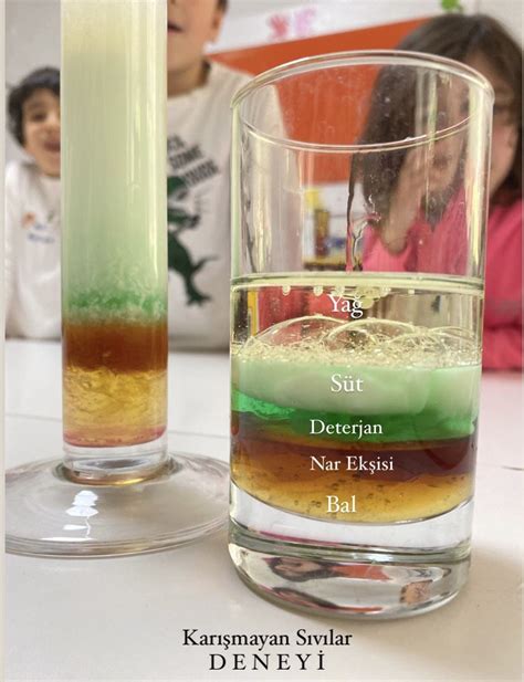 Bilimsel Deneyler Scientific Experiment. 