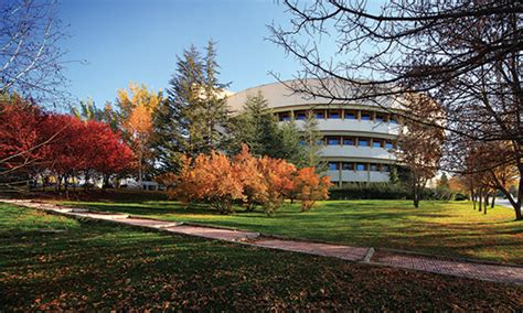 codini.rgarabwor.edu.pl. 