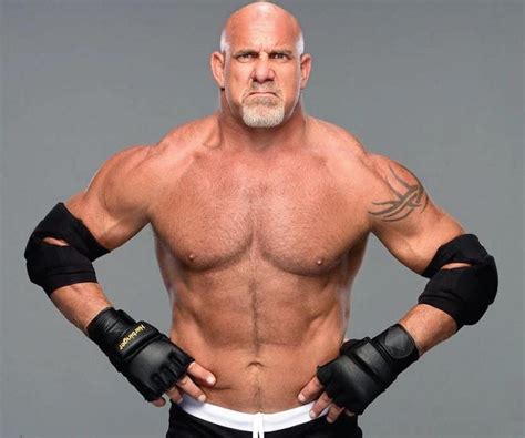 Bill Goldberg Biography - Facts, Childhood, Family Life …