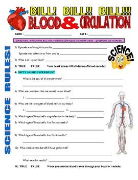 Bill Nye Circulatory System Worksheet Printable Sheet Education