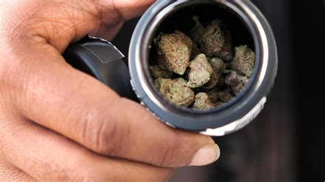 Bill to legalize 'cannabis cafés' heading to Newsom's desk