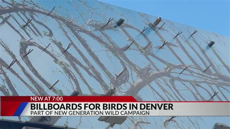 Billboards in Denver designed to attract birds