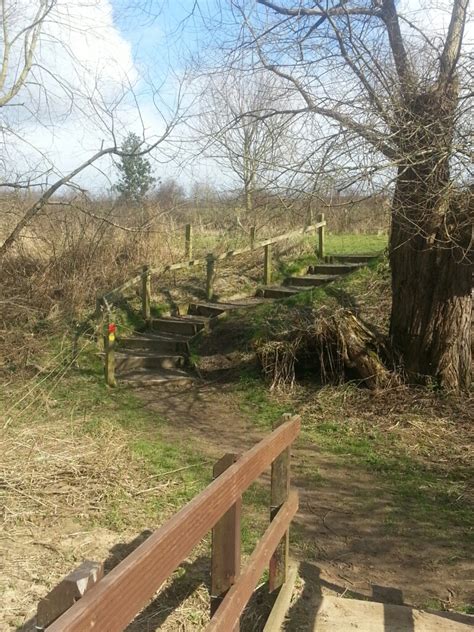 Billingham Beck Country Park - Woodland Trust