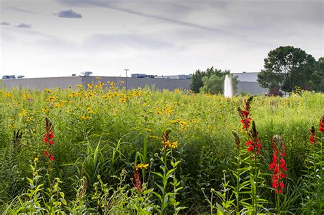 Billings Refinery Receives Prestigious Wildlife Habitat Council ...