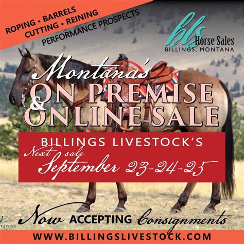 Billings horse sale. Feb 2, 2024 · Horse Sale Office Manager 406.672.1161 Main Office 406.245.4151 406.245.4821 info@billingslivestock.com ... ©2024 Billings Livestock Commission. Website by Zee Creative. 