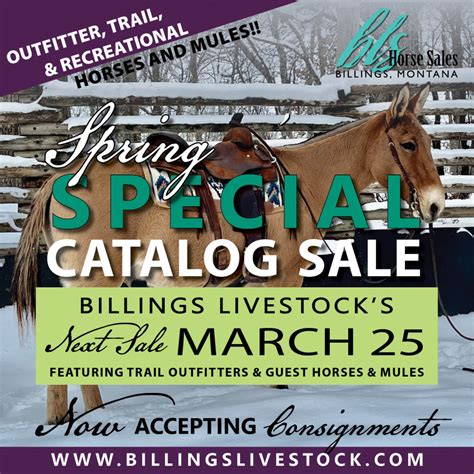 Billings livestock commission horse sales. Saddle Horse Demonstration follows. 11 – 11:45 a.m. Roping Horses Preview. 12 Noon Sale Time. Sunday April 28 – 8 a.m. Cowboy Church – Sale Ring. Add to calendar ... Billings, MT 59101 ©2024 Billings Livestock Commission. Website by Zee ... 