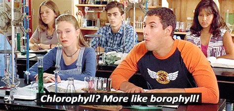 Billy Madison: Chlorophyll?! More like BORE-O-PHYLL! Right?