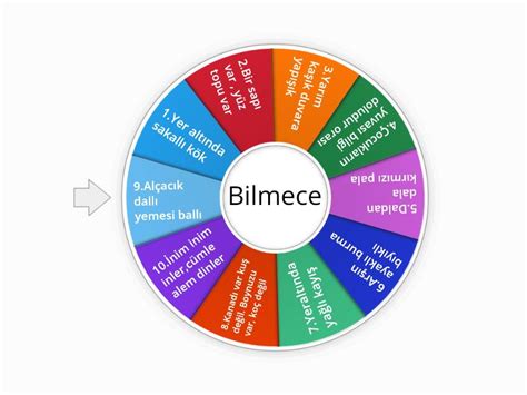 Bilmece Random wheel Wordwall.