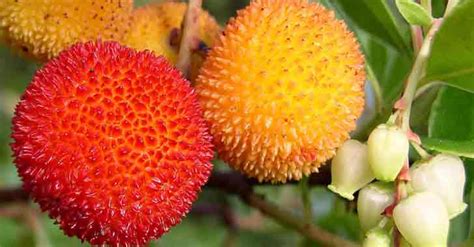 Bilyedin Halı ve Koltuk Yıkama