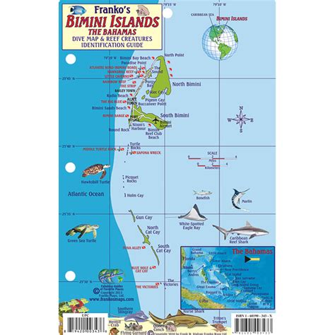 Bimini islands bahamas dive map and reef creatures guide franko maps laminated fish card. - Z wybranych problemów dawnej i współczesnej sztuki opowiadania.