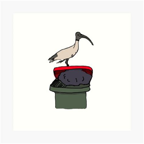 Bin Chicken Art Prints for Sale Redbubble