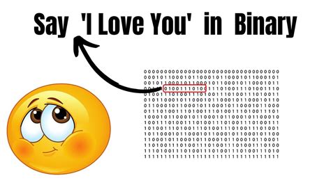 Binary Code for I Love You