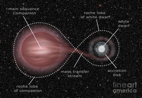 Binary star system Memory Alpha Fandom