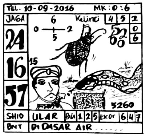 Binatangnya di dasar air togel. Cara mudah dapat maxwin.