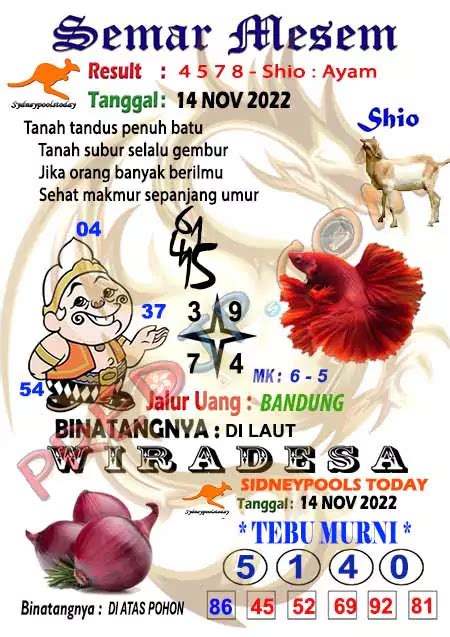 Binatangnya suka di pasir togel. Jadwal mu malam ini di sctv. Keluar sdy hari.