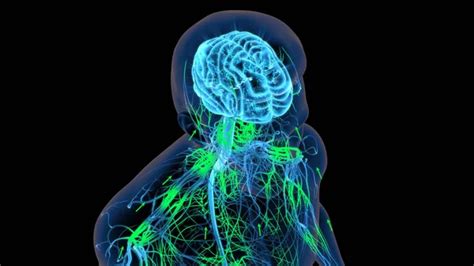 Binaural beats program.  The human brain contains an average of 86 billion nerve cells called ne...