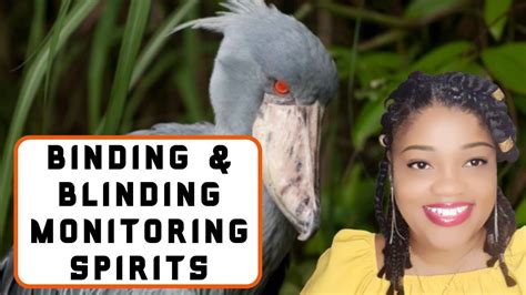 Binding and blinding monitoring spirits. .  <a href=https://admin-demos.7steps.ai/assets/i...