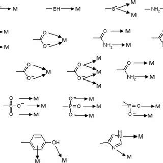 Binding efficiency of functional groups towards noble metal …