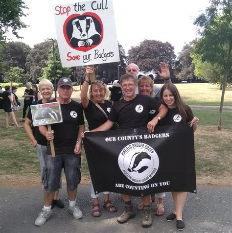 Binfield Badgers Berkshire - Home - Facebook