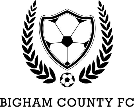 Bingham County FC logo
