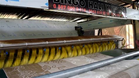 Bingo Hali Yikama Servisi