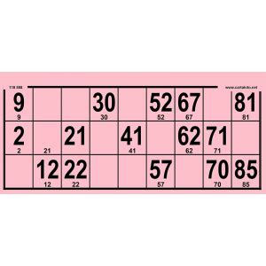 Bingo bileti