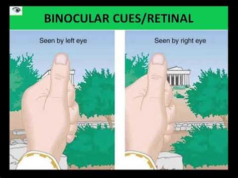 [2] [3] Binocular cues include stereopsis, eye convergence, disparity, and yielding depth from binocular vision through exploitation of parallax. Monocular cues include size: distant objects …. 