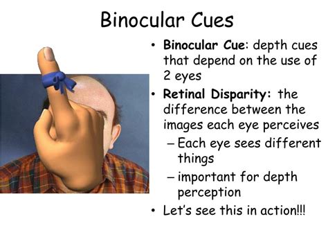 There are two main binocular cues that help us to judge distance: Disparity - each eye see a slightly different image because they are about 6 cm apart (on average). Your brain puts the two images it receives together into a single three-dimensional image.. 