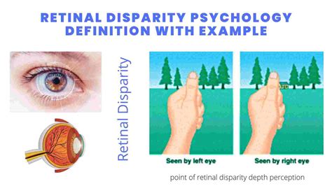 Retinal Disparity - a binocular cue for perceiving depth; by comparing images from the two eyeballs, the brain computes distance - the greater the disparity (difference) between the two images, the close the object. Convergence - a binocular cue for perceiving depth; the extent to which the eyes converge inward when looking at an object.. 