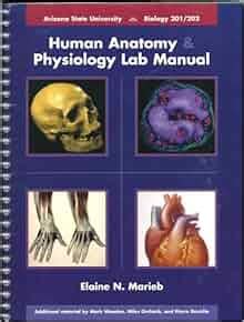 Bio 201 bio 202 laboratory manual for human anatomy and. - Histoire et la géographie dans le récit poétique.