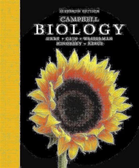 Bio Bio Place 12 Math