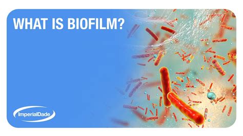 Bio Bit Biofilm YouTube