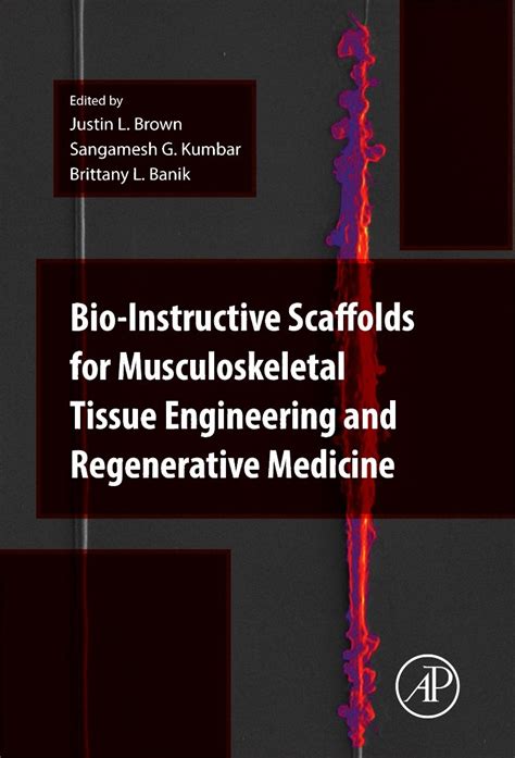 Bio Instructive Scaffolds For Musculoskeletal Tissue Engineering And Regenerative Medicine