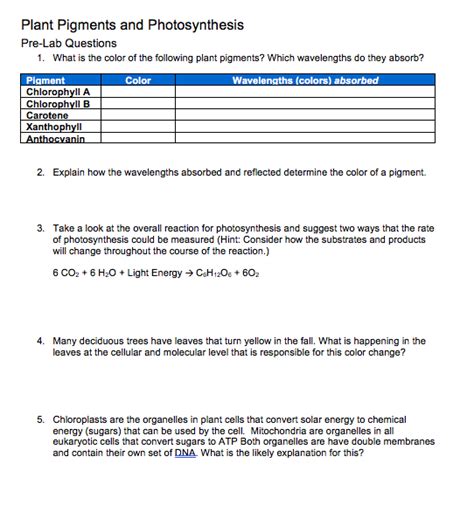 Bio Photosynthesis Pre Lab Answers