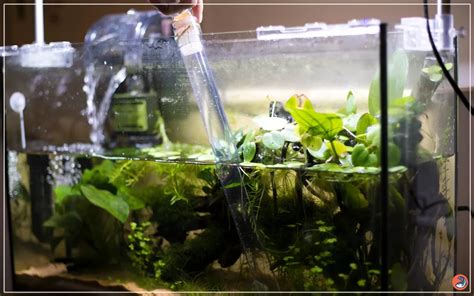 Bio block aquarium.  They are designed to minimize the frequency of water changes neces...