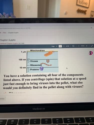 Bio exam 2 quizlet. .  and more.  Distinguish between Potential Energy...